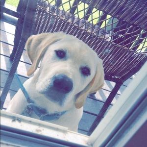 Meet your Posher, Autumn